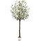 Best Choice Products 6.5Ft Artificial Olive Tree, Lifelike Faux Tree, Home Accent Decor w/ Planter Pot, Realistic Trunk